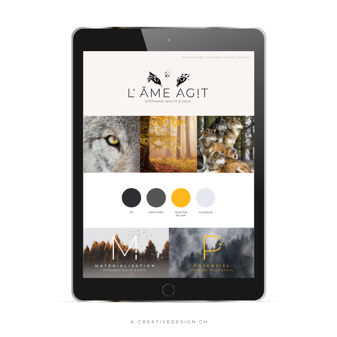 Brand guideline L'Ame Agit Ice-CreamConcept-A-CreativeDesign